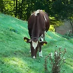 U Tkocza Vakantieboerderij Wisła