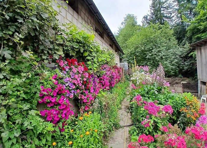 Vakantieboerderij U Tkocza Wisła