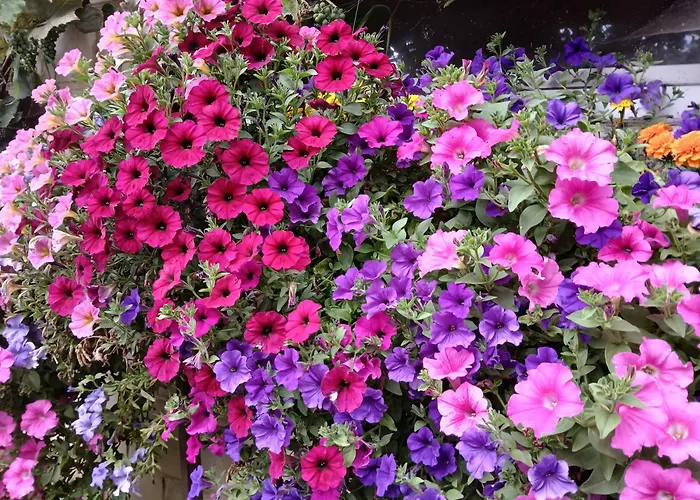 مزرعة للإقامة U Tkocza فيسلا