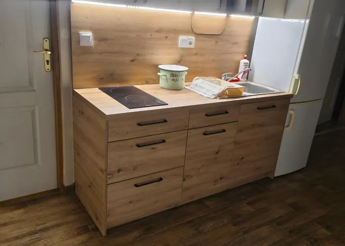 مزرعة للإقامة U Tkocza *